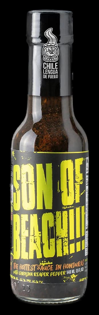 Son of Beach!!! (heat 10/10)